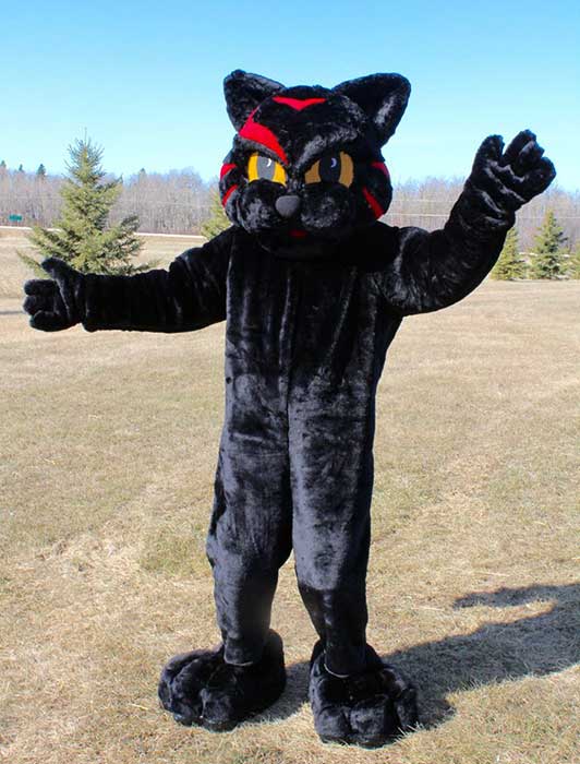 School Mascots Custom Mascot Design 17806195088