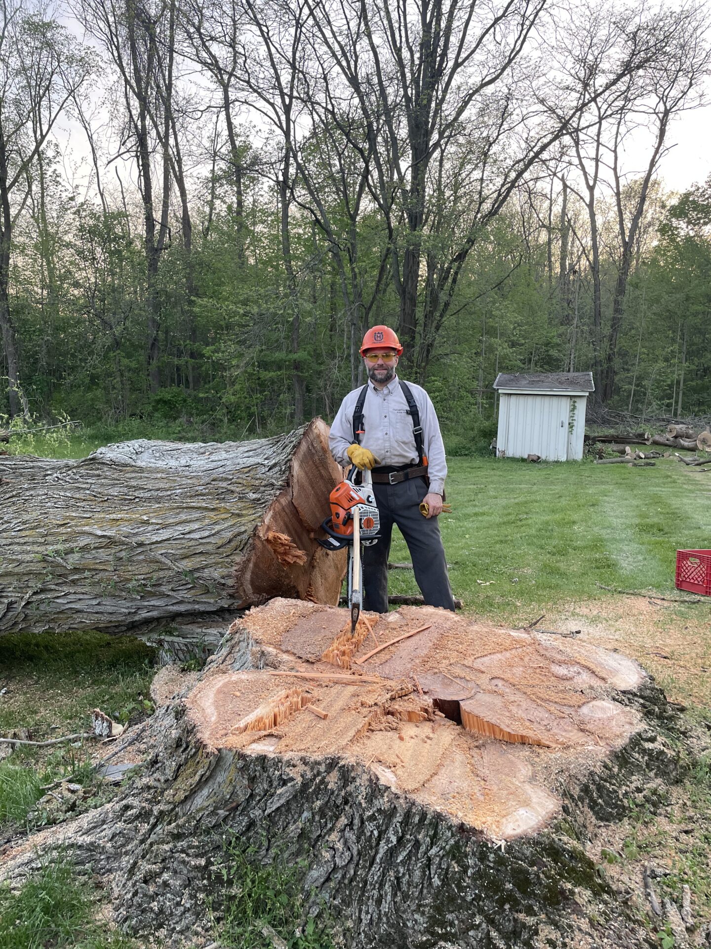 Portfolio Tree Projects at Custom Tree Solutions