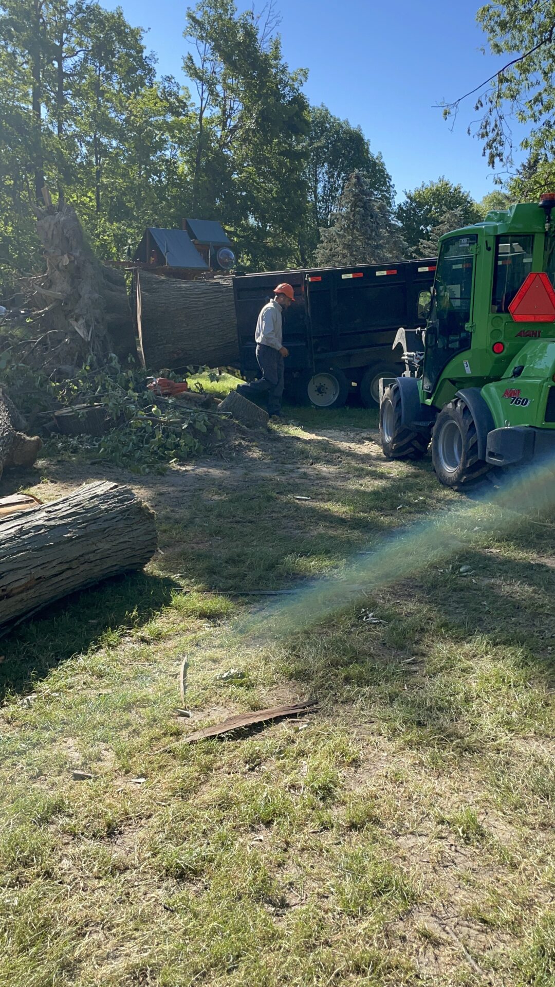 Portfolio Tree Projects at Custom Tree Solutions