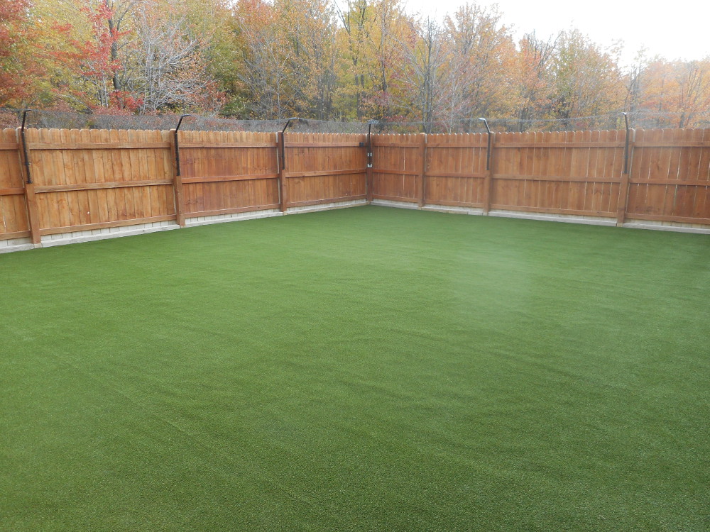 Pet Turf Synthetic Turf for Dogs Artificial Turf Custom Turf