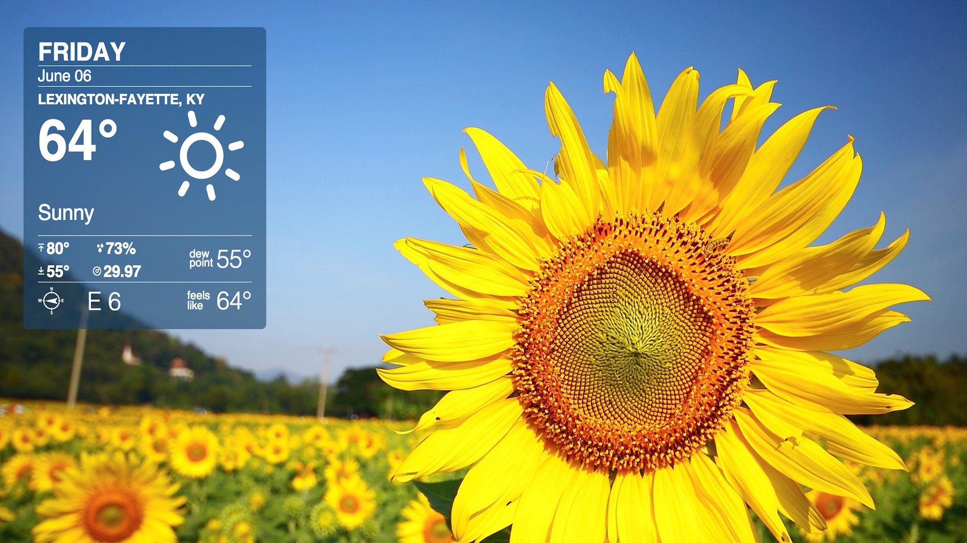 Broadcast and Digital Media Custom Weather