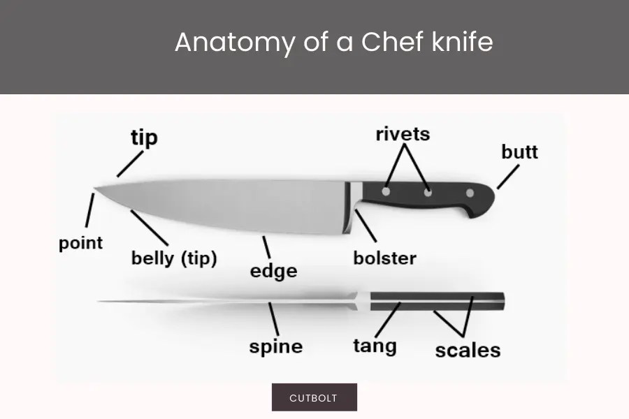 Battle of the Blades Santoku Knife vs Chef Knife Best Knife Review