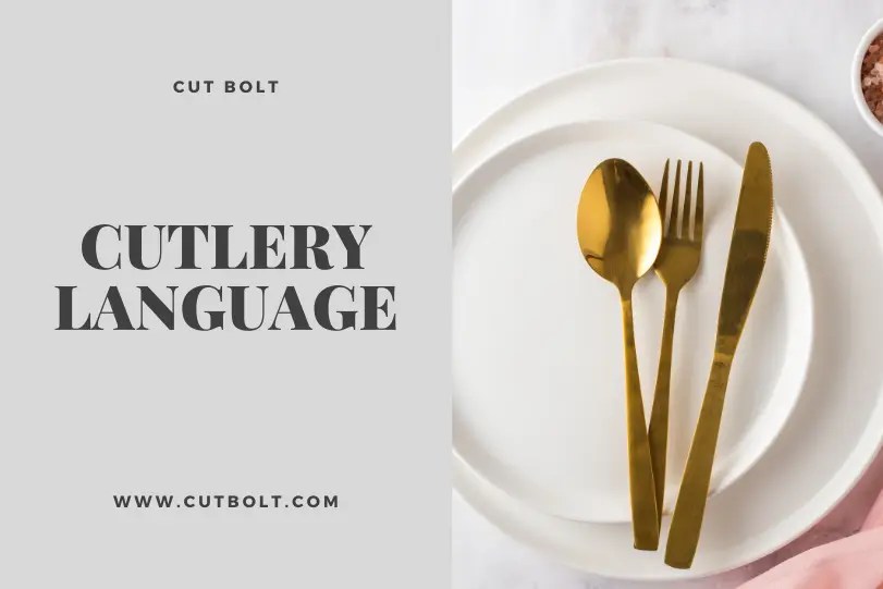Cutlery Language in Restaurant Meaning and Origin of Cutlery Best