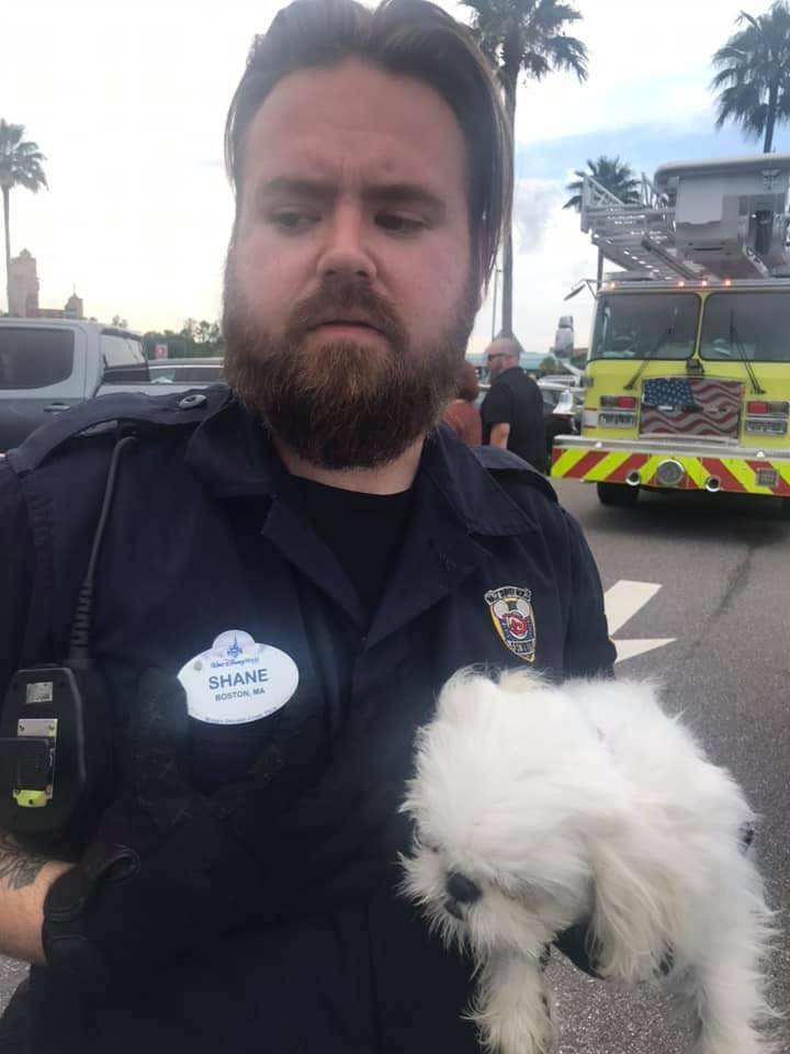 Poor puppy is found left in a locked car in Disney World parking lot