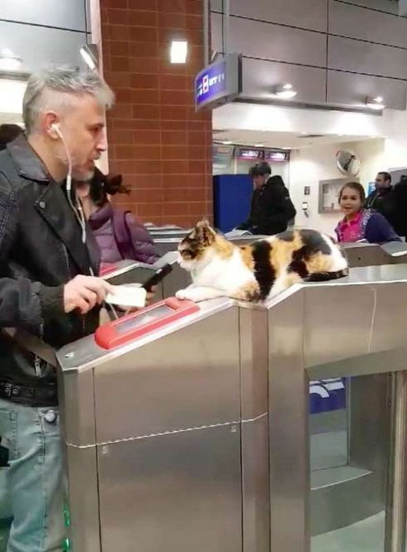 Fluffy ticket controller makes everyone smile at the station. She