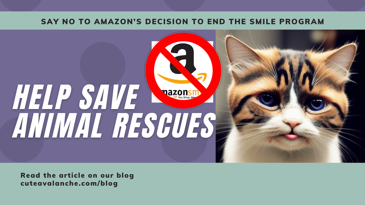 The Consequences of Amazon’s Choice to Wind Down AmazonSmile for Small