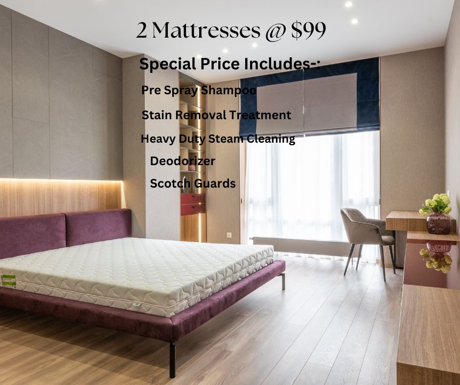 CUTE CARPET CLEANING & PEST CONTROL