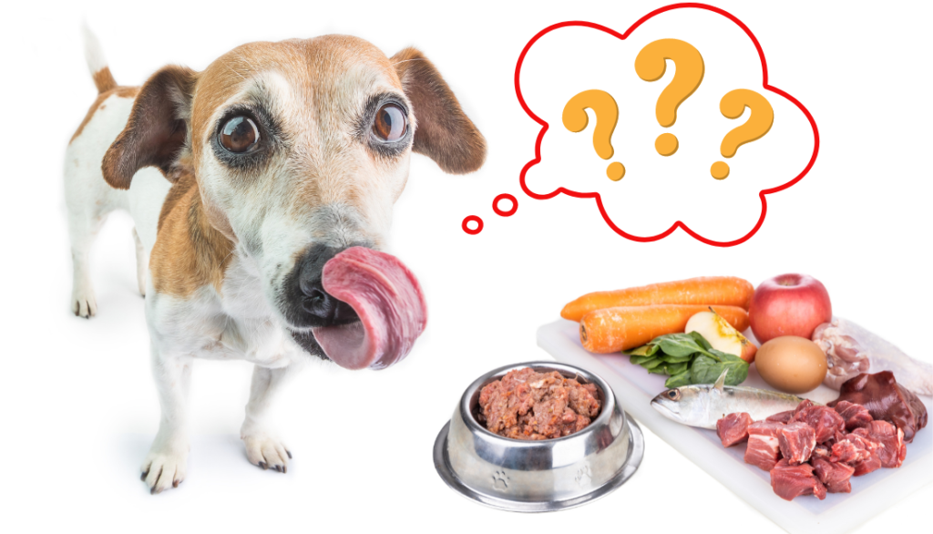 Raw Dog Food Diet Benefits & Potential Risks Cute Dog Lovers