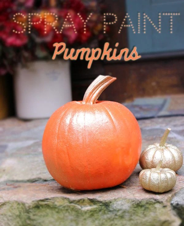 20+ Spray Painting A Pumpkin AilinCrawford