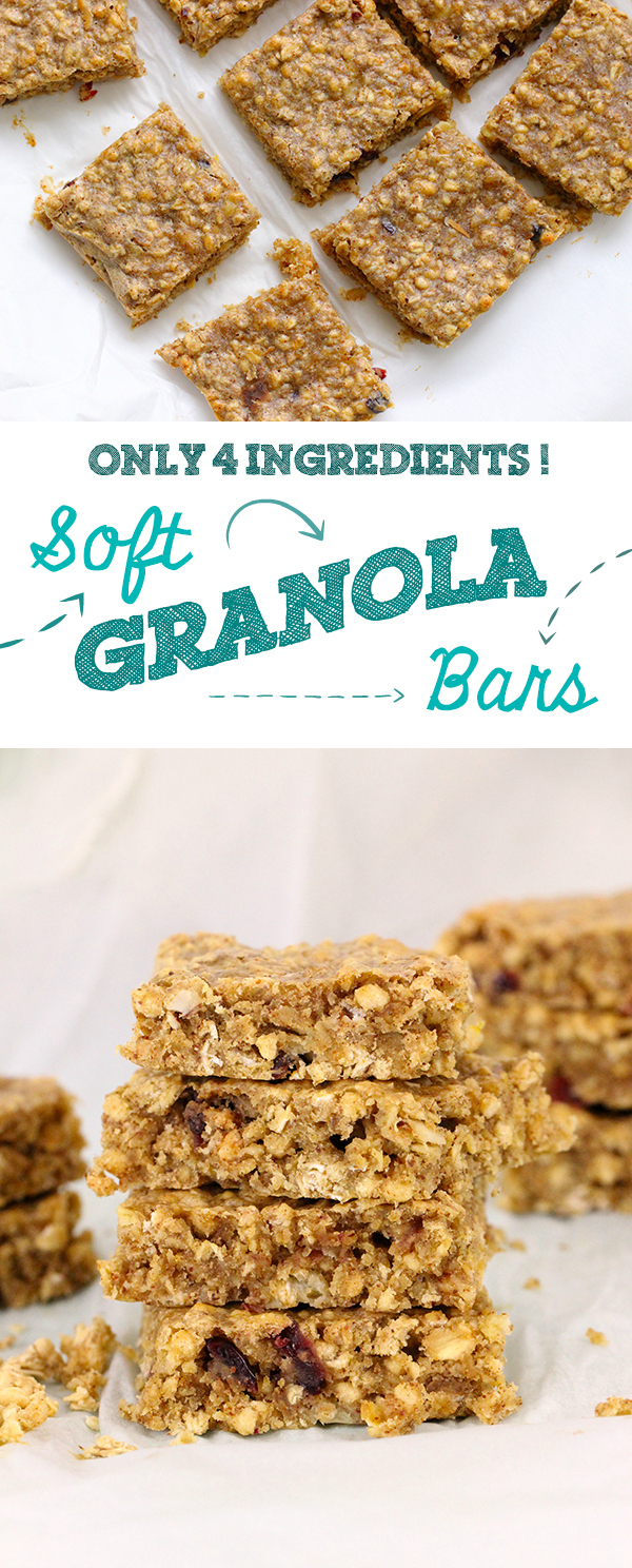 Protein Packed 4 Ingredient Baked Granola Breakfast Bars Cutefetti