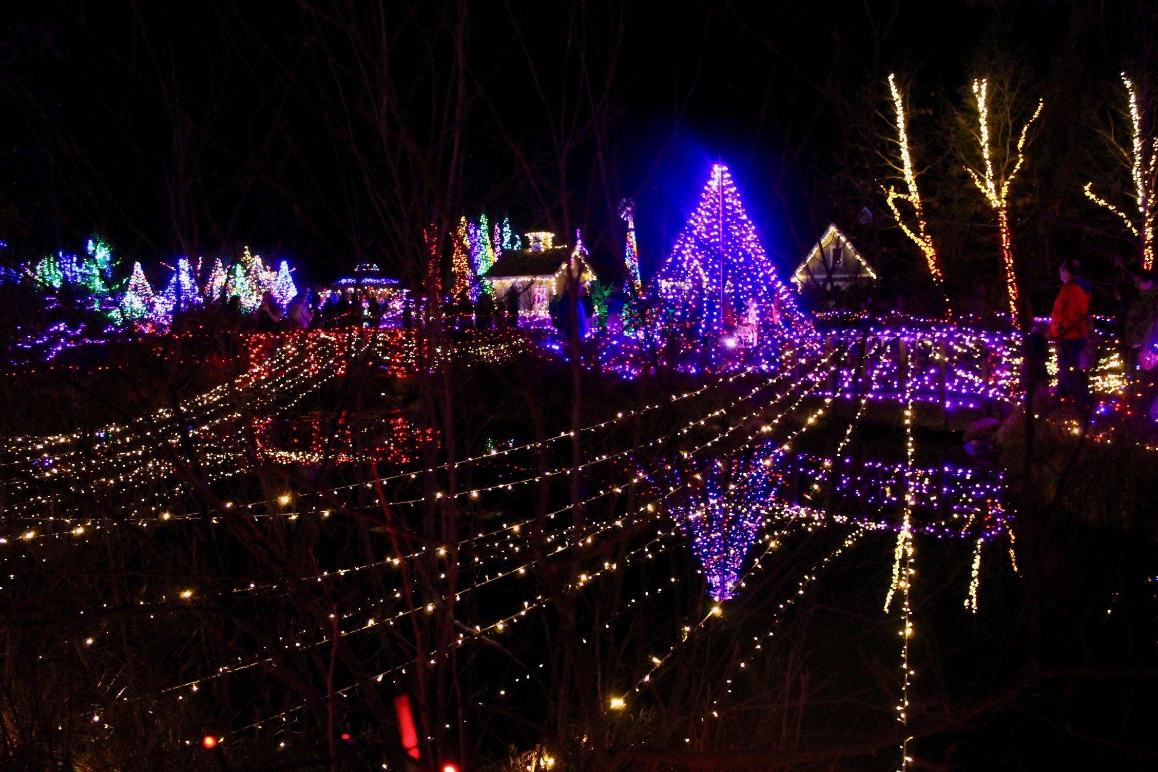 A Visit to Gardens Aglow