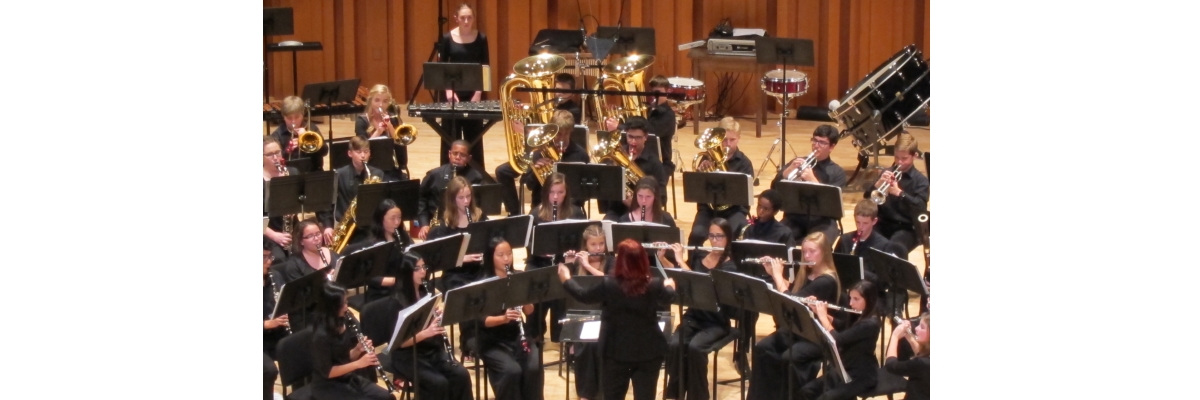 will help ensure that music remains an essential component of.