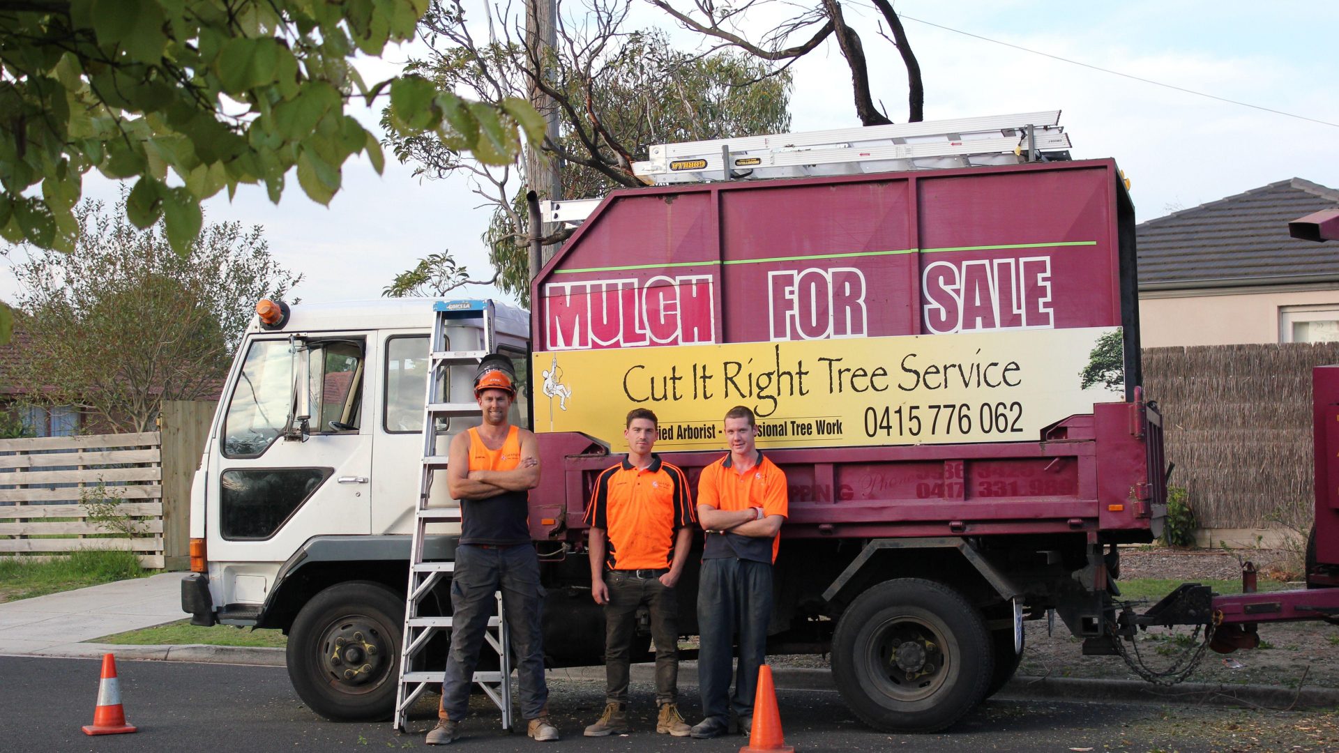 Tree Services Mornington Peninsula Removal Pruning