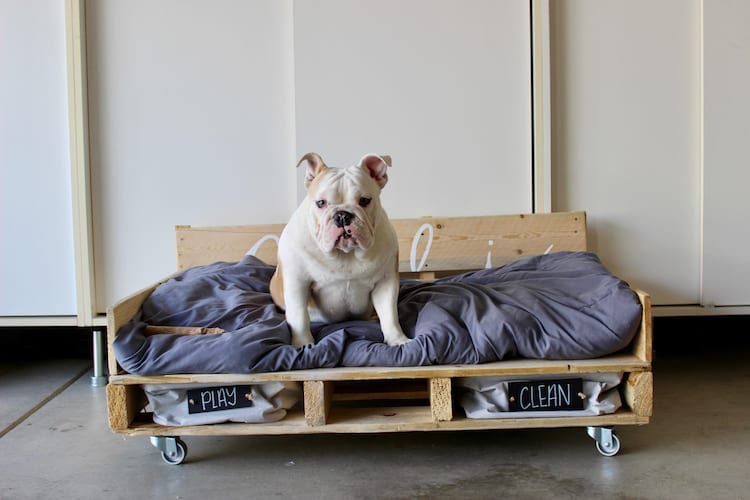 16 Pallet Dog Bed DIY Plans & Ideas Cut The Wood