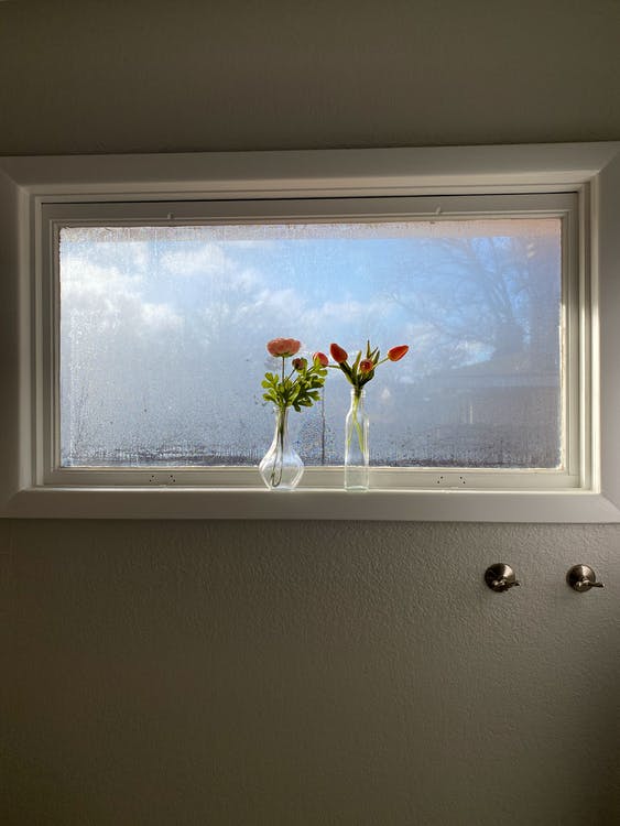 How To Glue Plexiglass To Wood [StepbyStep Guide] Cut The Wood