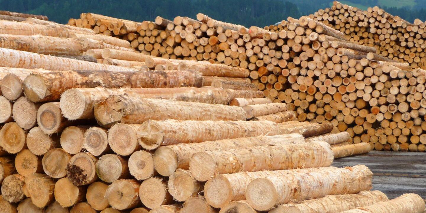 Wood Drying Methods And Guidelines Cut The Wood