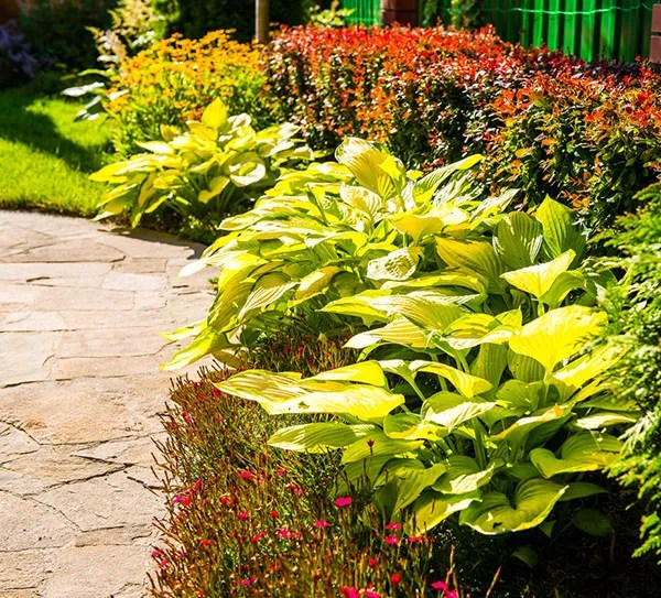 Eugene Landscape Renovations