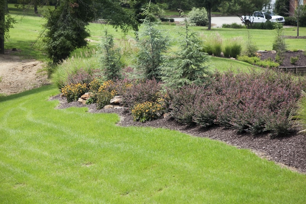 Sod & Seed Cutting Edge Landscaping