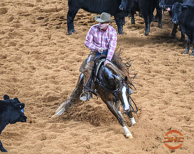 Phil Rapp Cutting Horse Central
