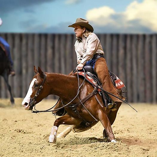 Lindy Burch Cutting Horse Central