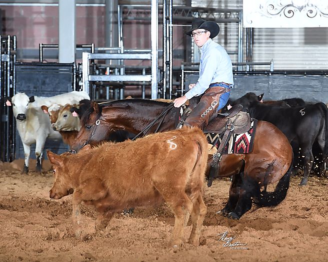 PG HEAVILY ARMED Cutting Horse Central