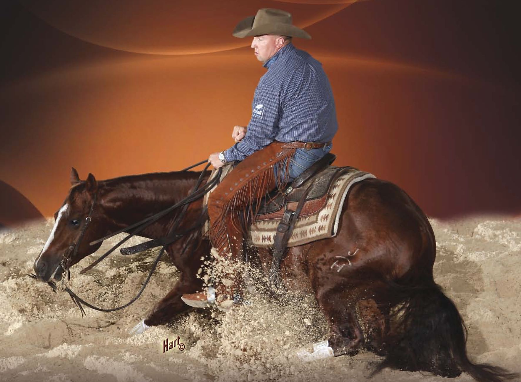 PATROAN Cutting Horse Central