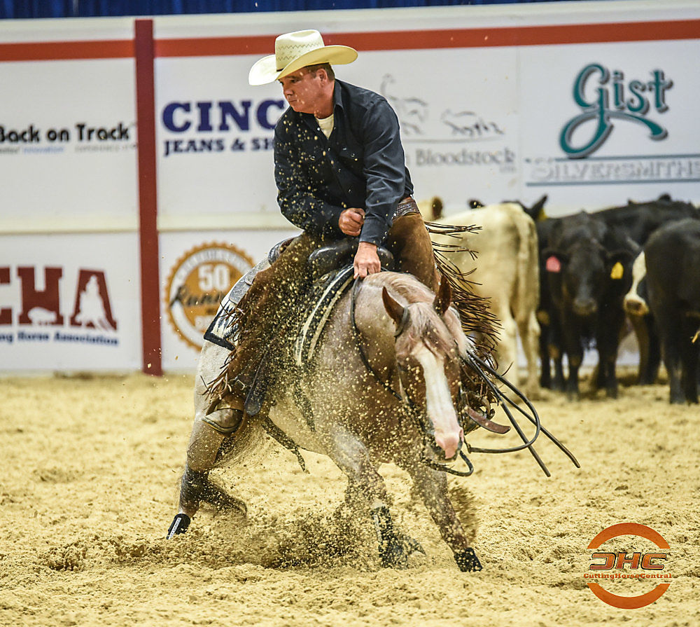 Brett Davis Cutting Horse Central