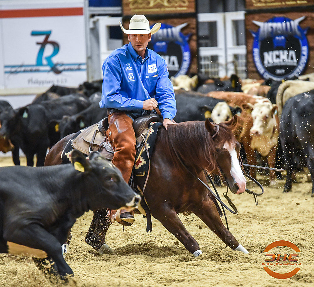 Chris Johnsrud Cutting Horse Central