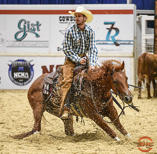 Behind Section K Cutting Horse Central