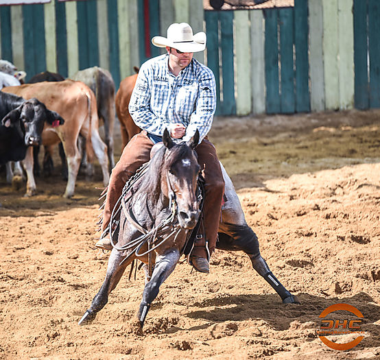 Grant Setnicka Cutting Horse Central
