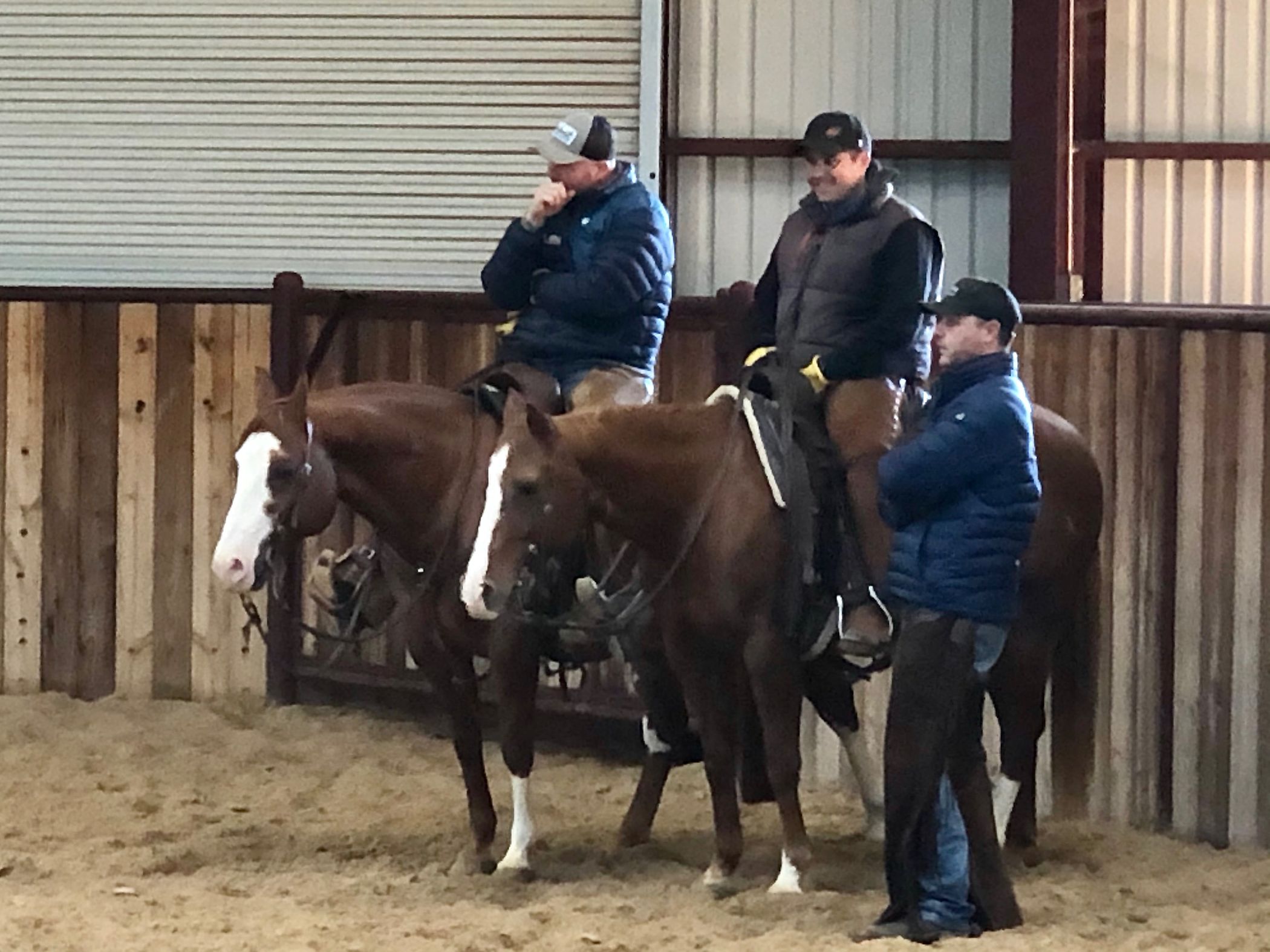 Prework Season Cutting Horse Central