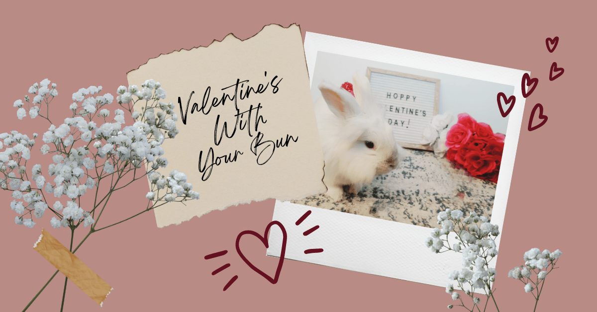 Free Downloads How to celebrate Valentine’s Day with your