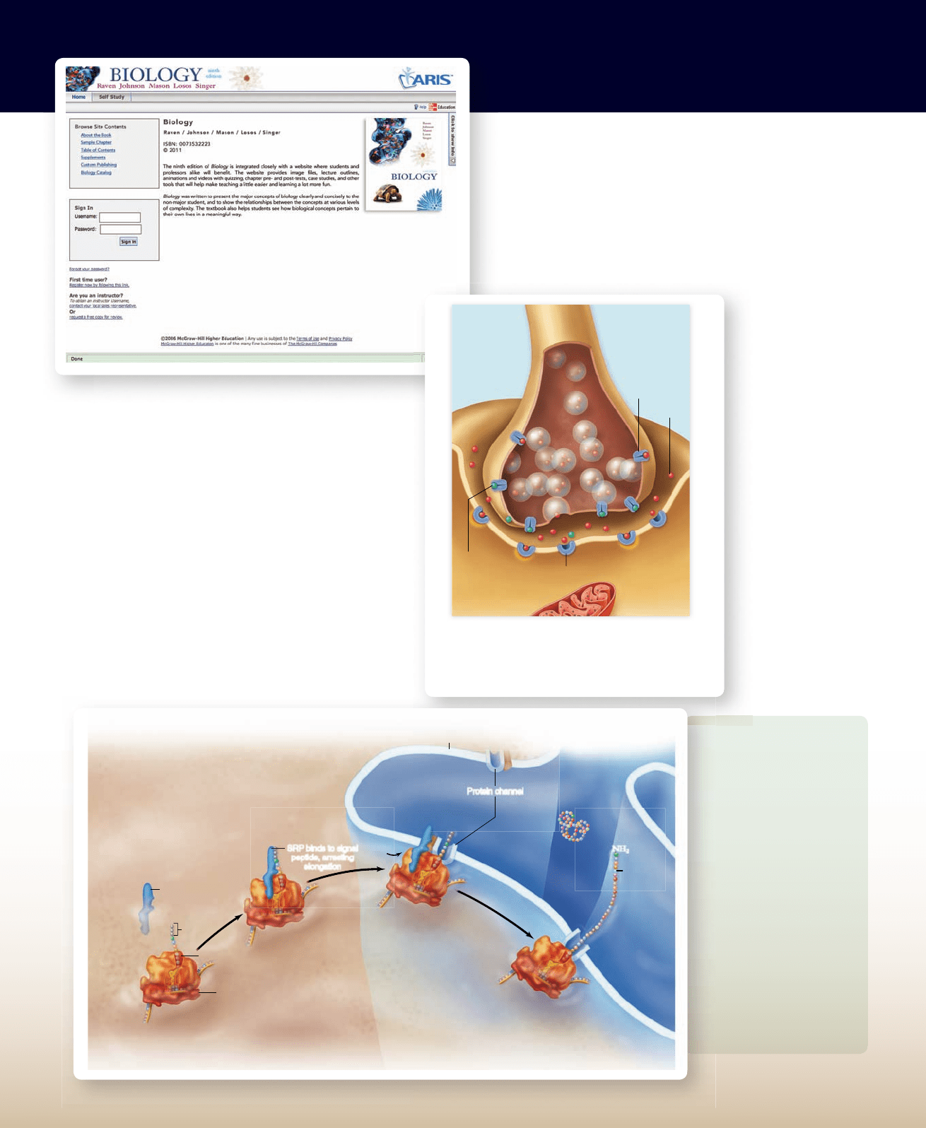 Biology, 9th Edition by Raven, Johnson, Mason, Losos, and Singer.
