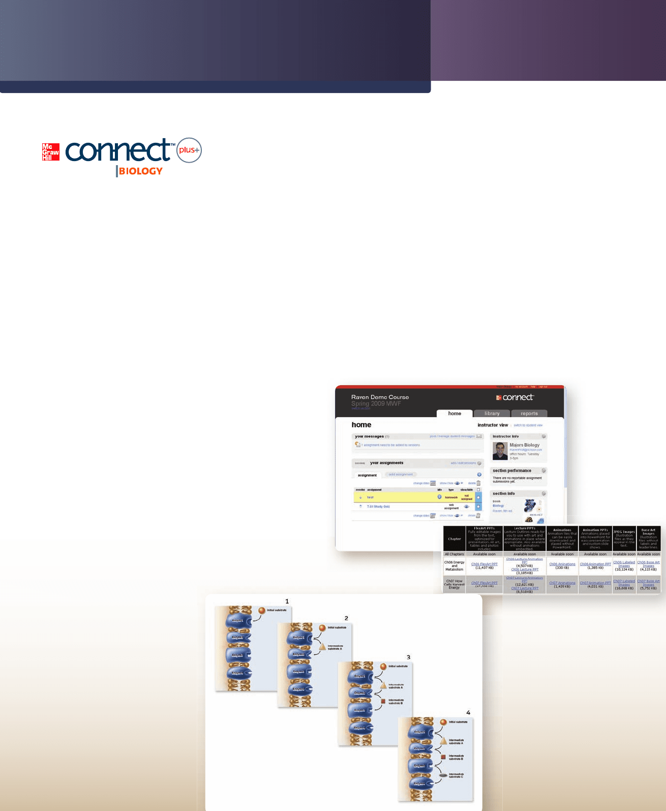 Biology 9th Edition Raven Johnson Test Bank Nursing Test Banks.