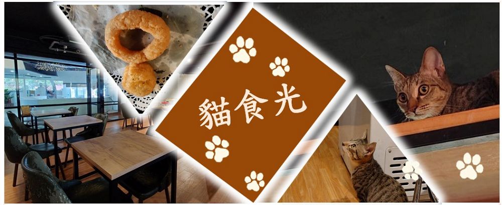 【食記】貓食光－隱藏很深的貓貓天堂－[台北] [公館]