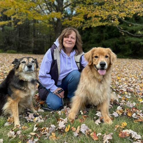 Veterinarian In Oneonta, NY 13820 Community Veterinary Center