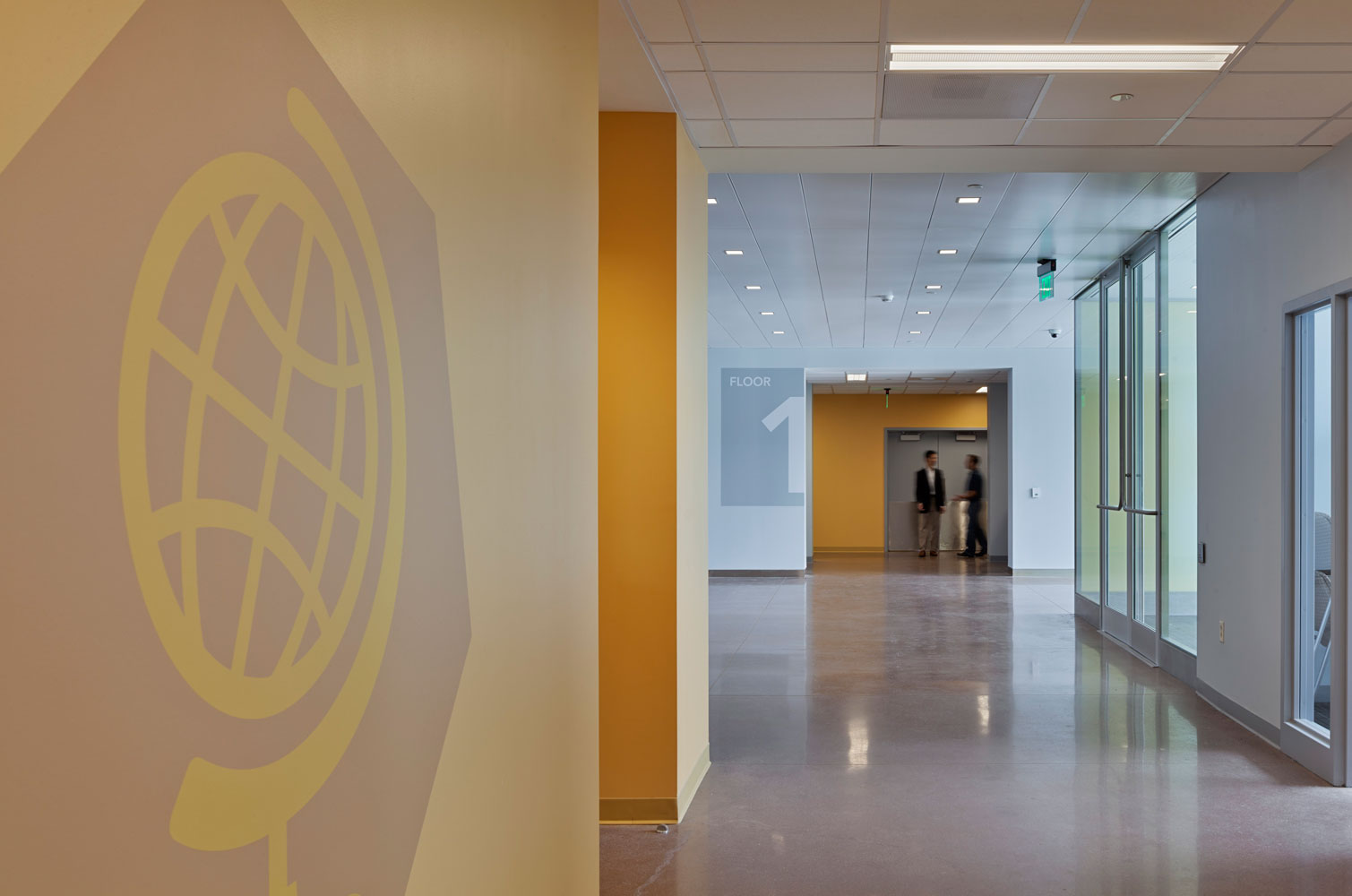 entro-cvedesign-nassau-community-college