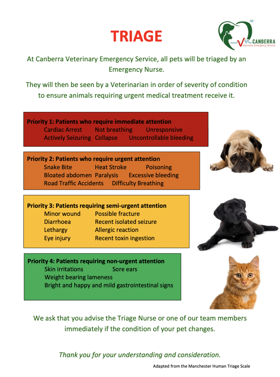 What to Expect Canberra Veterinary Emergency Services
