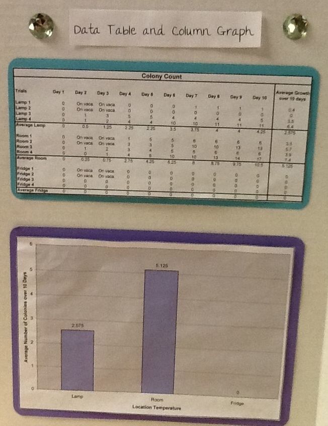 Project Science Fair CVES 4TH GRADE