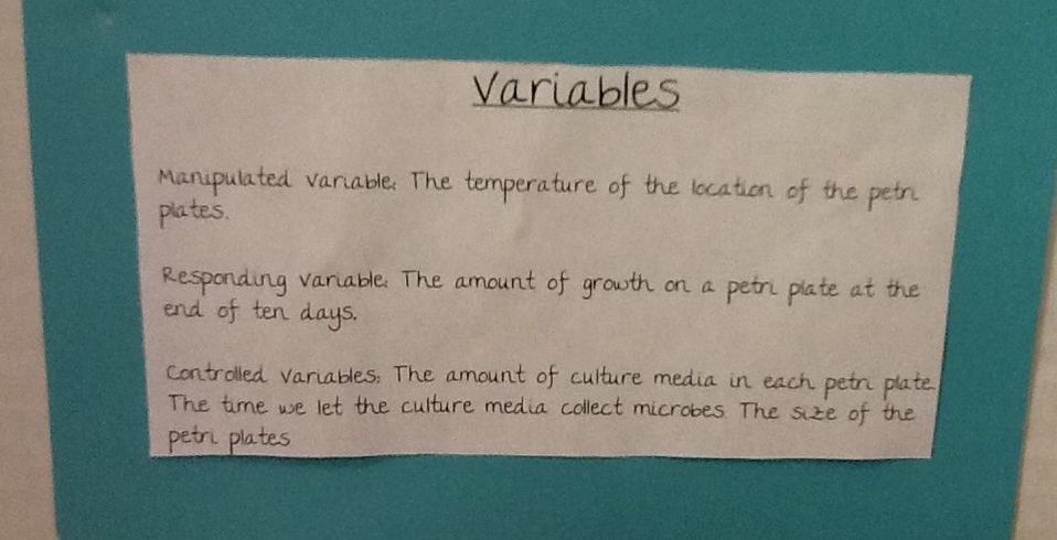 Project: Science Fair - CVES 4TH GRADE