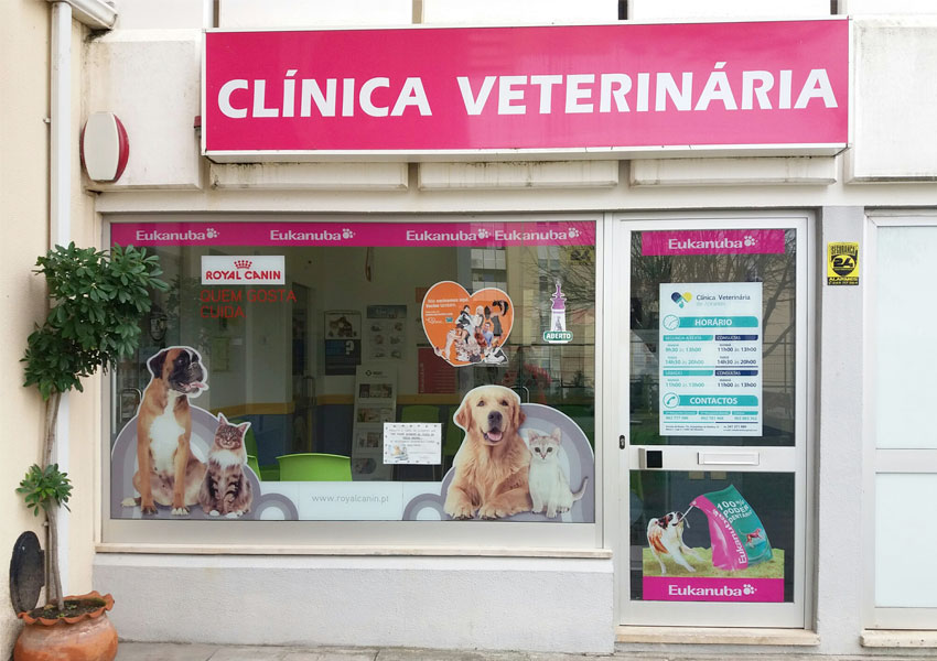 Galeria Clínica Veterinária de Abrantes