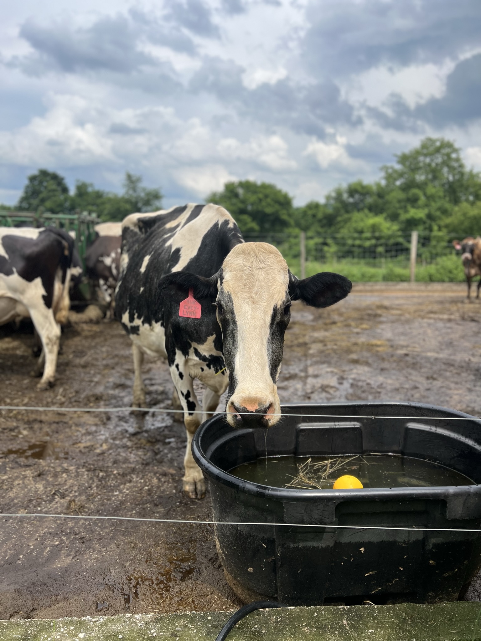 Featured Farmer Cameron Clark, Riverhill Farms Champlain Valley