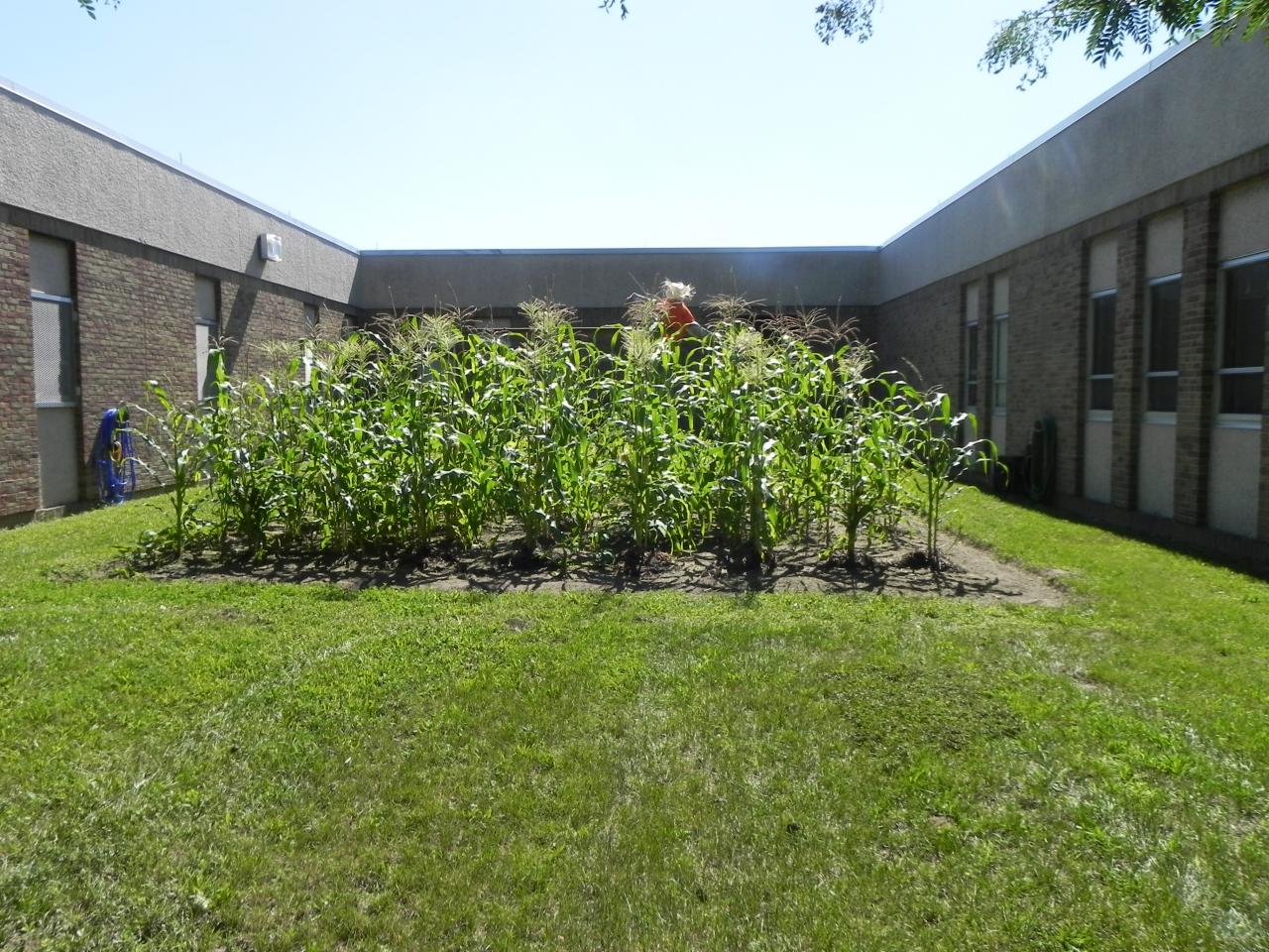 Programs & Activities Children's Village Foundation