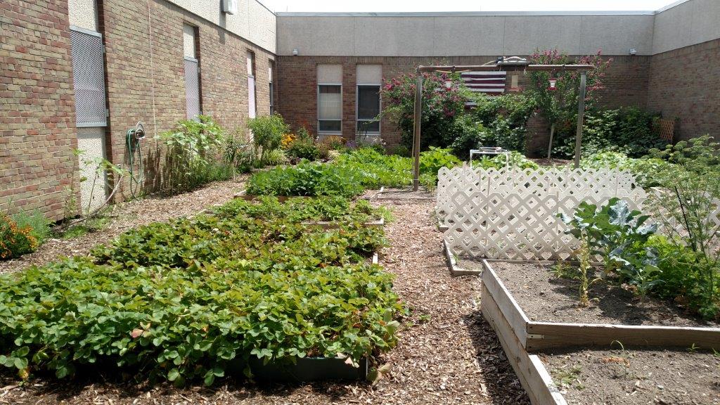 Photo Gallery Children's Village Foundation