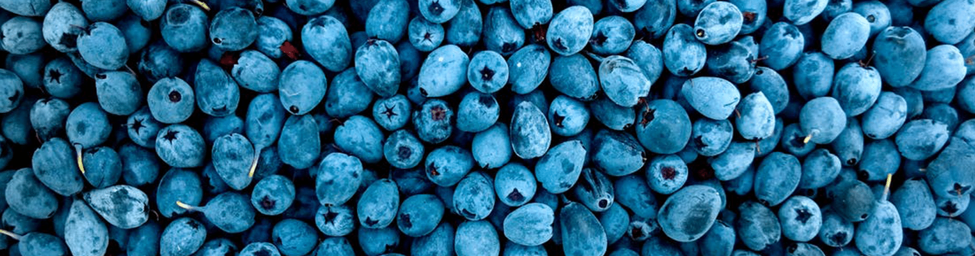 Blueberries Lower Blood Pressure