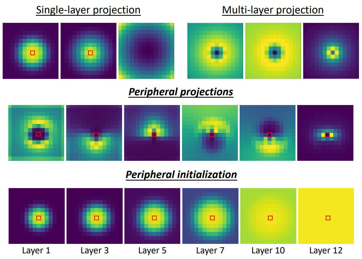 Peripheral Vision Transformer