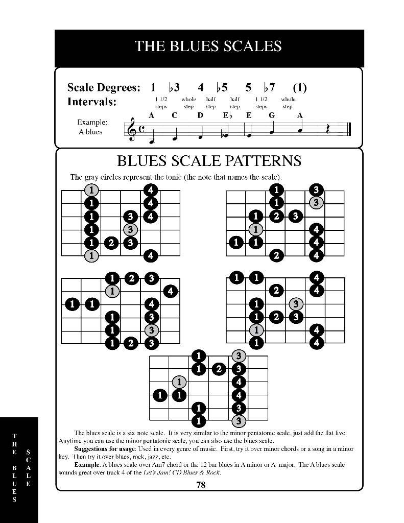 Guitarist's Scale Book Watch & Learn
