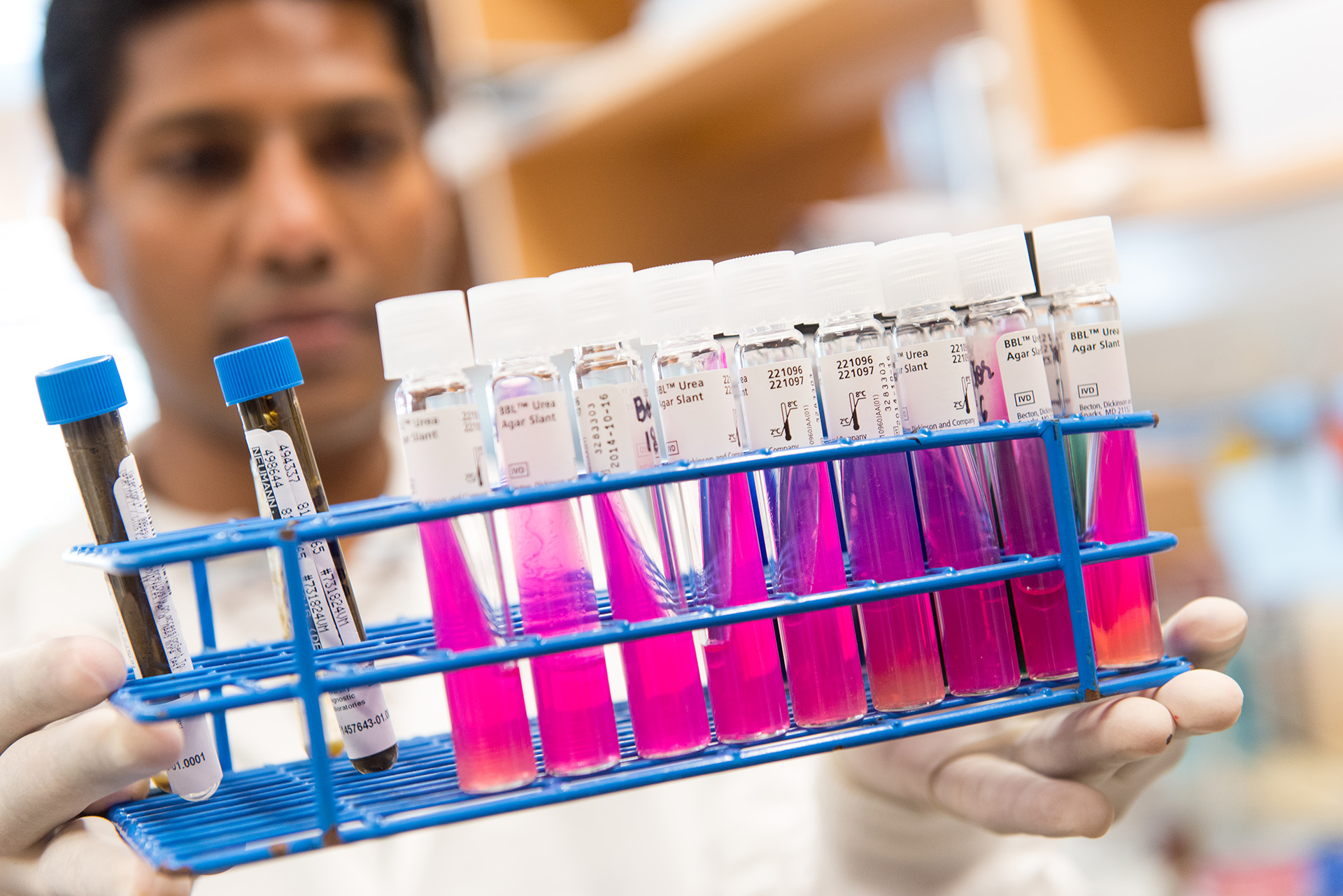 Veterinary Diagnostic Laboratories achieve full, allspecies accreditation