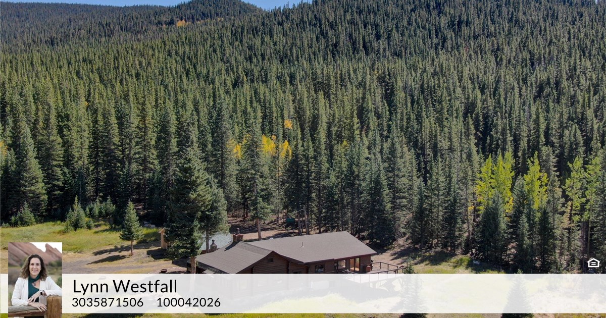 137 Peaceful Valley Ln, Idaho Springs, CO 80452