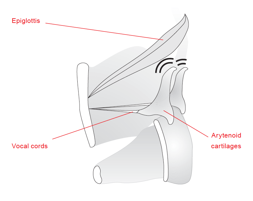 Description and sound of Growl CVT Research Site